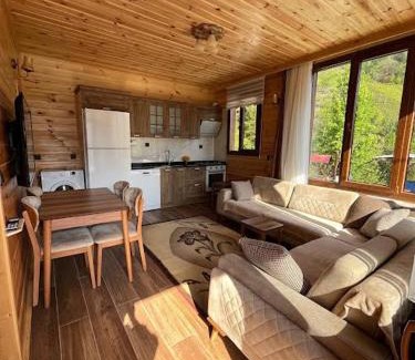Ayder Apartment | Ayder Defne Suit Ev