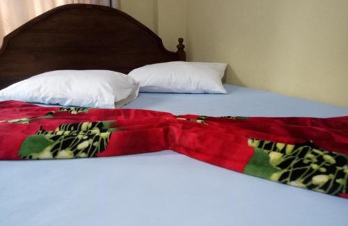 Nallathanniya Hotel | Discover Ayos Hill Adam's Peak with Free Shuttle & Breakfast