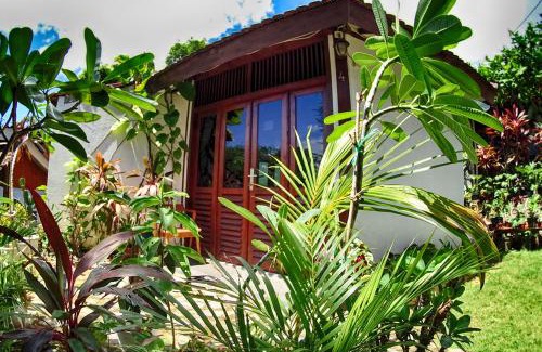 Karimunjava Hotel | Discover Ayu Hotel Karimunjawa: Pet-Friendly Oceanfront Retreat