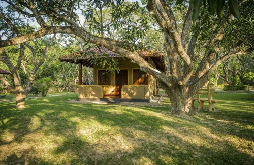 Maho Resort | Discover Ayurveda Paradise Maho: Family-Friendly Retreat