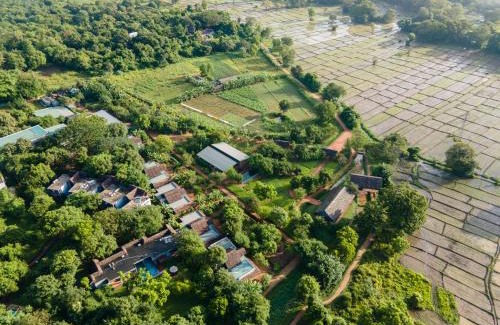 Sigiriya Resort | Relaxing Ayurvedic Retreat at Ayurvie Sigiriya, Rated 9.3