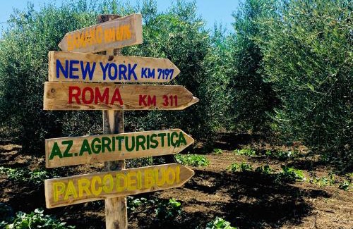 Nuova Cliternia House | Discover Az. Agr. Parco dei Buoi: Pet-Friendly Retreat