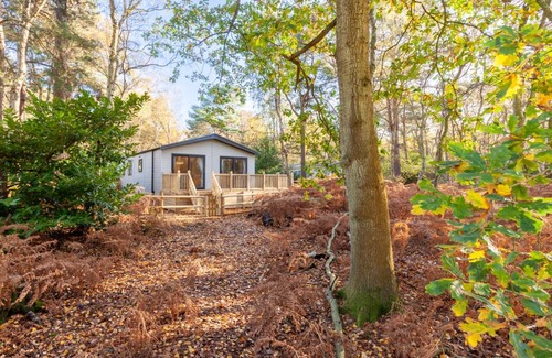 Weybourne Apartment | Experience Azenor Lodge: Pet-Friendly Retreat with Hot Tub