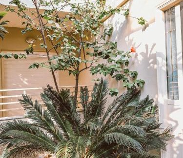 Dhermi Hotel | Azure Hotel Dhermi
