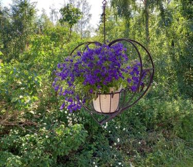 Salen Cabin | Beachfront Bliss at Bärvallen 388 with Hot Tub & Ocean Views