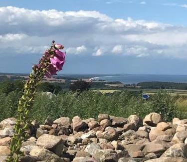 Kivik Hotel | Relaxing Bästekille Gårdshotell with Ocean Views & Family Perks