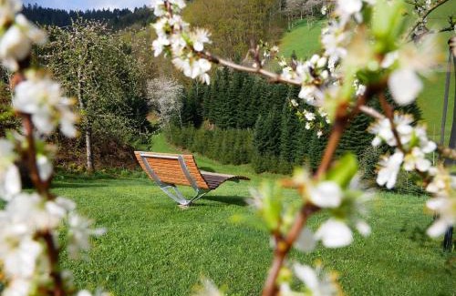 Bad Peterstal-Griesbach House | Pet-Friendly Bühlbauernhof with Exceptional Guest Reviews