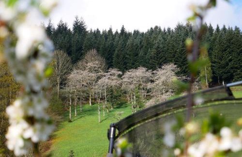 Bad Peterstal-Griesbach House | Pet-Friendly Bühlbauernhof with Exceptional Guest Reviews
