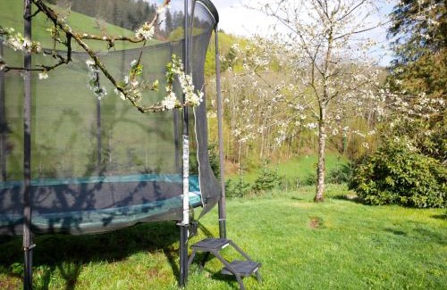 Bad Peterstal-Griesbach House | Pet-Friendly Bühlbauernhof with Exceptional Guest Reviews