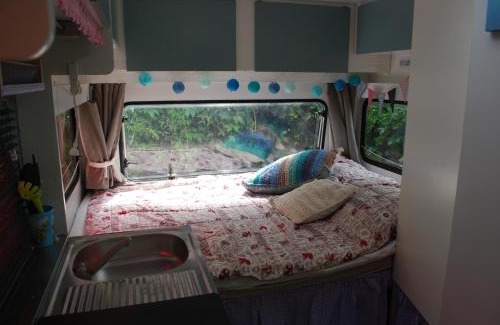 Municipality of Molenlanden Bed & Breakfast | Pet-Friendly B&B Öland Caravan with Oceanfront Views