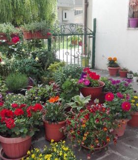 Castelsaraceno Bed & Breakfast | Pet-Friendly Retreat at B&B A casa di Carla - 10/10 Rating