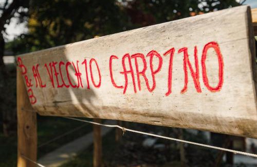 Borgo Valbelluna Bed & Breakfast | Unforgettable Stay at B&B AL VECCHIO CARPINO - 10/10 Rated