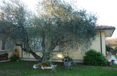 Viterbo Bed & Breakfast | Comfortable Stay at B&B Alle Terme: Pet & Family Friendly