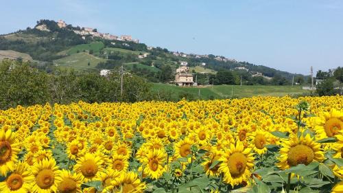 Santa Vittoria in Matenano Bed & Breakfast | Pet-Friendly B&B Antica Fonte del Latte: Top Rated Getaway
