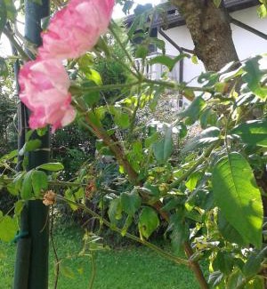 Mortara Bed & Breakfast | Relaxing Stay at B&B Antica Corte Lombarda with Breakfast