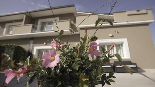 Celano Bed & Breakfast | Dreamy Getaway at Arco Dei Sogni - Rated 9.5/10!