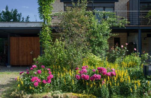 Battwil Bed & Breakfast | Guest Rated B&B Bättwil: Family-Friendly & Accessible Stay