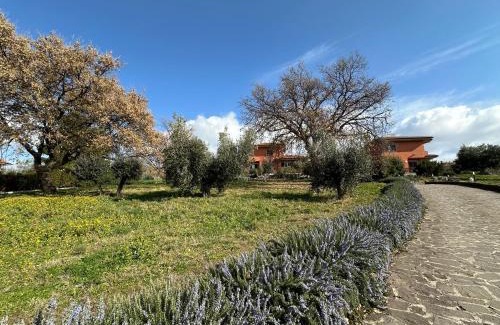 Monte Porzio Catone Bed & Breakfast | Pet-Friendly Retreat: B&B Bee with Exceptional 9.1/10 Rating