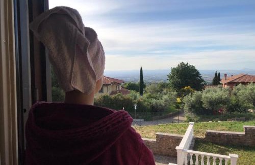 Monte Porzio Catone Bed & Breakfast | Pet-Friendly Retreat: B&B Bee with Exceptional 9.1/10 Rating