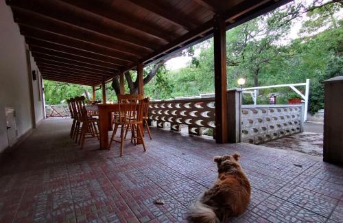 Cassano delle Murge Bed & Breakfast | Top-Rated B&B&Beer: Pet-Friendly with Fresh Breakfast