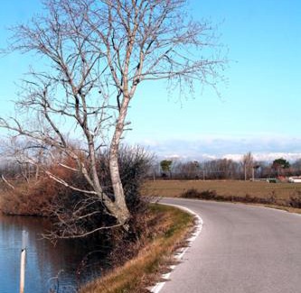Fossalon Bed & Breakfast | Family-Friendly Stay at B&B Bigolin Cristina - 9/10 Rated