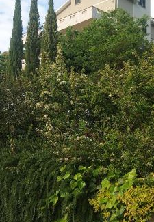 Frascinelle Bed & Breakfast | Discover Comfort at B&B Binario Nove e Tre Quarti