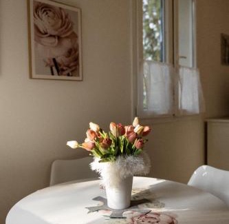 Riccione Bed & Breakfast | Discover B&B Cá Bianca Ventisette with Oceanfront Bliss
