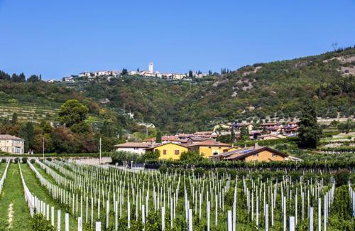 Gargagnago di Valpolicella Bed & Breakfast | Pet-Friendly Retreat at B&B Ca' Bernai - Rated 9.8/10