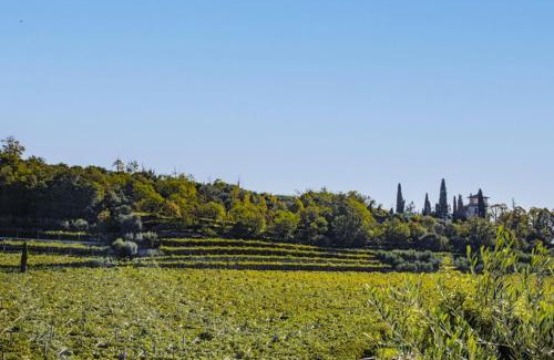 Gargagnago di Valpolicella Bed & Breakfast | Pet-Friendly Retreat at B&B Ca' Bernai - Rated 9.8/10