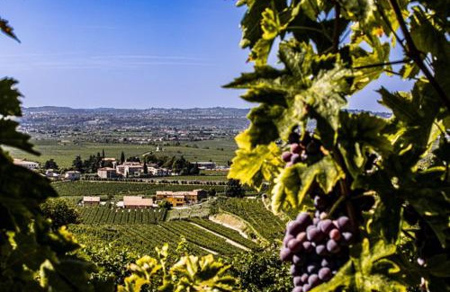 Gargagnago di Valpolicella Bed & Breakfast | Pet-Friendly Retreat at B&B Ca' Bernai - Rated 9.8/10