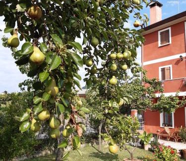 Soligo Bed & Breakfast | Pet-Friendly Retreat at B&B Casa del Conte - Rated 9.1/10
