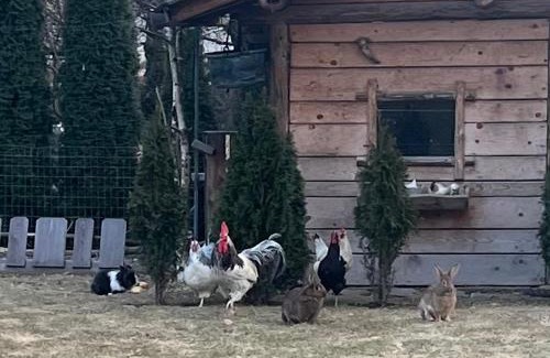 Pinzolo Bed & Breakfast | Oceanfront B&B Casa il Sasso - Guest Rated 9.7/10