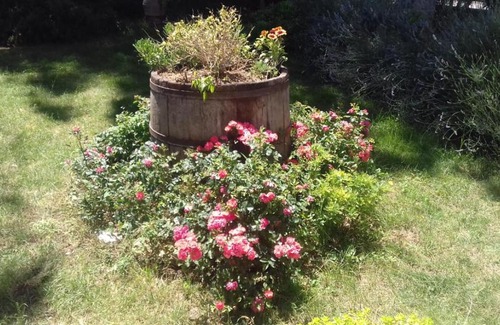 Marsciano Bed & Breakfast | Pet-Friendly B&B Casa Losea with Pool and Hot Tub