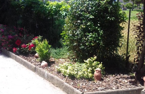 Marsciano Bed & Breakfast | Pet-Friendly B&B Casa Losea with Pool and Hot Tub