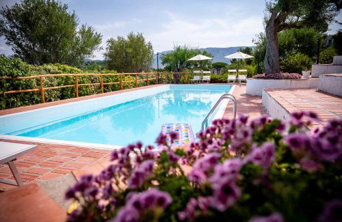 Centola Bed & Breakfast | Pet-Friendly B&B Casabianca with Oceanfront Pool & Breakfast