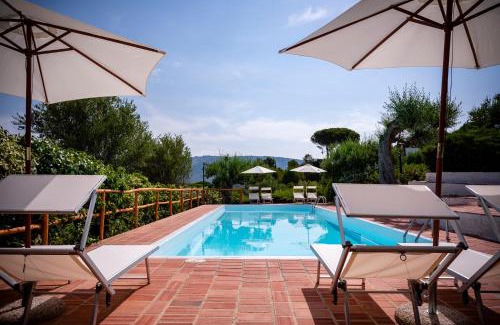 Centola Bed & Breakfast | Pet-Friendly B&B Casabianca with Oceanfront Pool & Breakfast