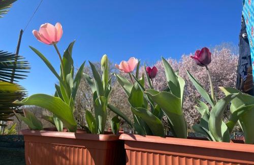 Capriglio Bed & Breakfast | Oceanfront B&B Cascina Dei Levrieri - Rated 9.5 by Guests