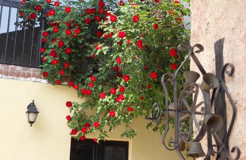 Bricherasio Bed & Breakfast | Discover B&B Cascina Marie: Pet-Friendly with Breakfast