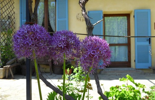 Bricherasio Bed & Breakfast | Discover B&B Cascina Marie: Pet-Friendly with Breakfast
