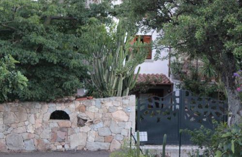 Schifoni Bed & Breakfast | Pet-Friendly B&B Chorisia with 9.4/10 Guest Rating