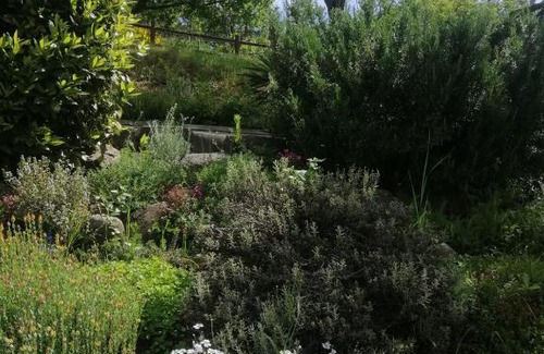 Pavana Bed & Breakfast | Guest Rated: 10/10 at B&B Clara's Garden with Breakfast