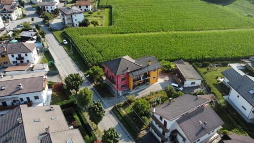 Visome Bed & Breakfast | Cozy B&B Colli's Dolomites: Pet-Friendly Retreat Awaits