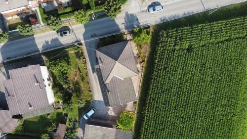 Visome Bed & Breakfast | Cozy B&B Colli's Dolomites: Pet-Friendly Retreat Awaits