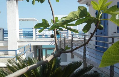 Mattinata Bed & Breakfast | Experience B&B Conca del Faro with Oceanfront Views