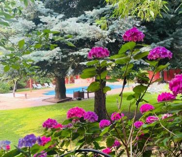 Becerril de la Sierra Bed & Breakfast | Oceanfront Bliss at B&B Concha - Rated 9.2/10 by Guests
