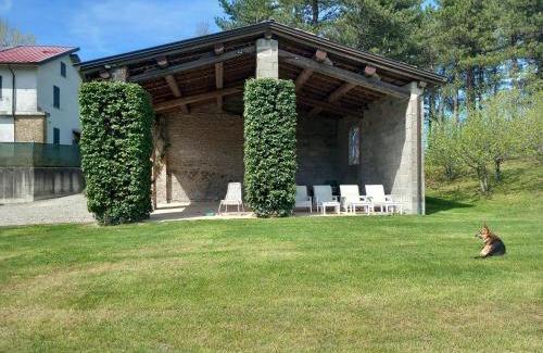 Neviano degli Arduini Apartment | Relaxing Stay at B&B Cortebonomini with Pool & Pet-Friendly