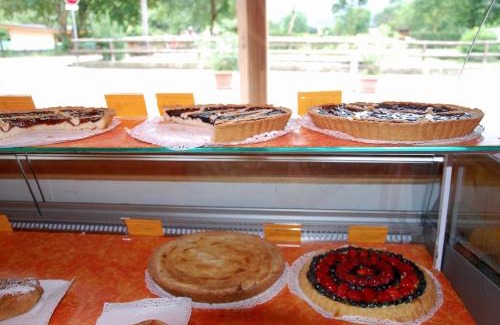 Ledro Bed & Breakfast | Pet-Friendly B&B dalla fattoria della Patty: Guest Rated 9.3
