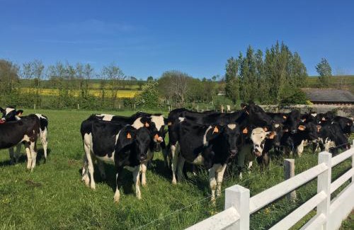 Saint-Come-de-Fresne House | Discover B&B de Saint Come de Fresné with Family-Friendly Perks