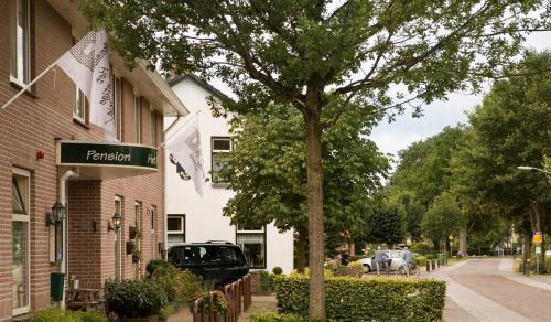 Westeinde Bed & Breakfast | Pet-Friendly B&B de Ster van Dwingeloo with Breakfast