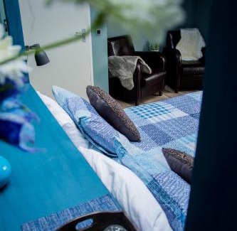 Westeinde Bed & Breakfast | Pet-Friendly B&B de Ster van Dwingeloo with Breakfast